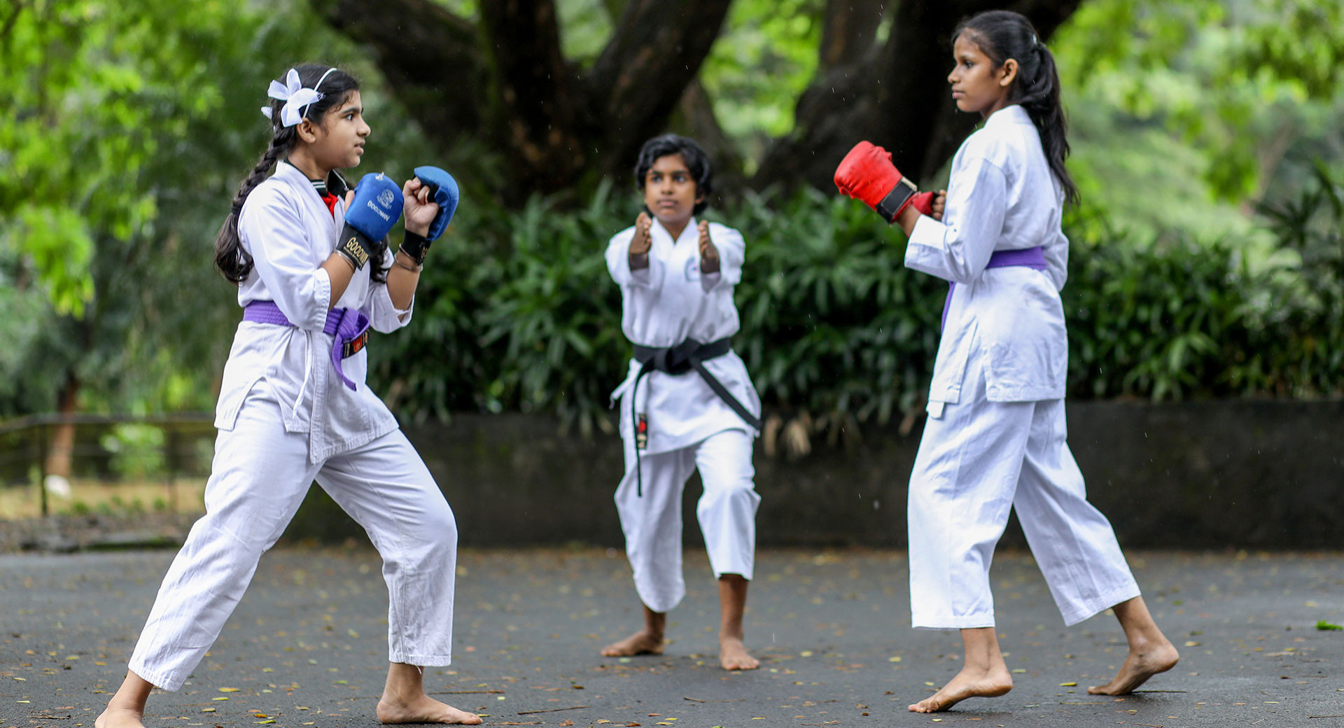 Alphonsa English Medium School