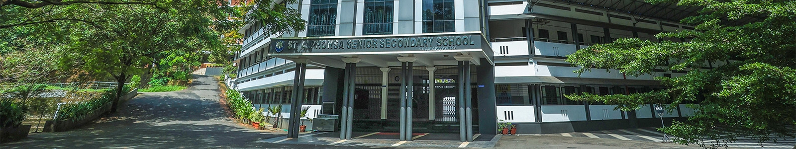 Image Caption
